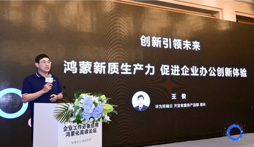企業(yè)辦公應(yīng)用鴻蒙化正當(dāng)時 華為攜手服務(wù)商加速生態(tài)繁榮與數(shù)字文化創(chuàng)意融合